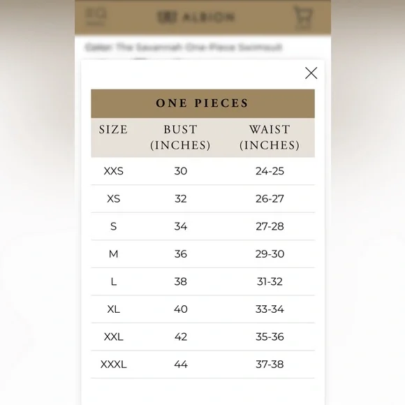 NWT Albion The Savannah One-Piece Swimsuit Cheetah Print XXL - Picture 9 of 9